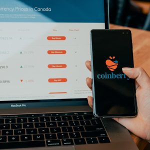 What Makes a Website Truly Mobile-Friendly?