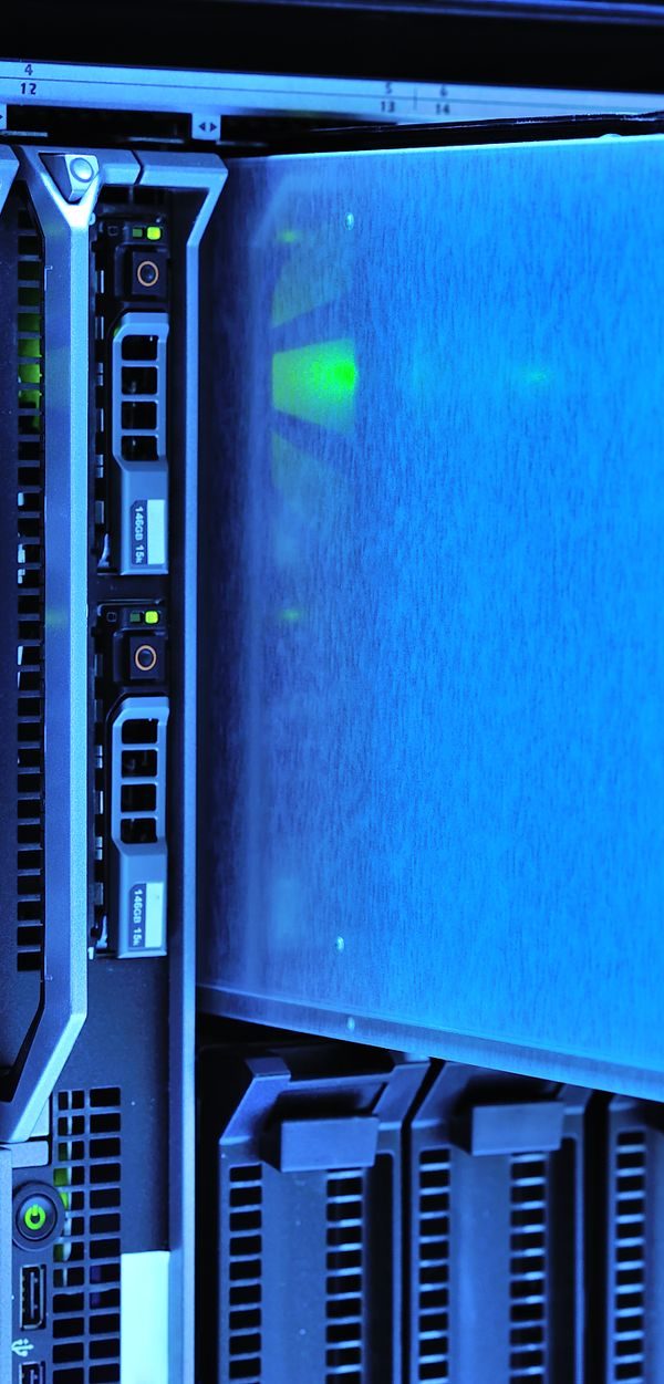 Why Fast Hosting is Critical for Website Success